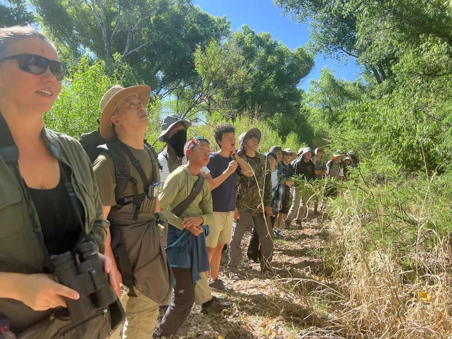 Youth and the Wild